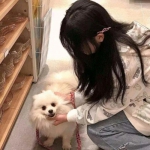 铁甲钢魂手游下载
